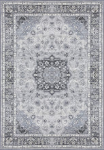 Load image into Gallery viewer, Dynamic Rugs Ancient Garden 57559-9656 Silver/Grey Area Rug
