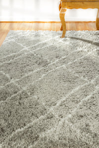 Dynamic Rugs Nordic 7431-900 Silver/White Area Rug