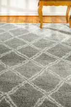 Load image into Gallery viewer, Dynamic Rugs Nordic 7432-900 Silver/White Area Rug
