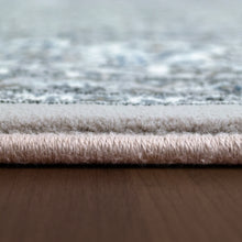 Load image into Gallery viewer, Dynamic Rugs Ancient Garden 57011-9666 Soft Grey/Cream Area Rug
