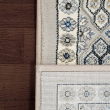 Load image into Gallery viewer, Dynamic Rugs Ancient Garden 57147-9696 Silver/Grey Area Rug

