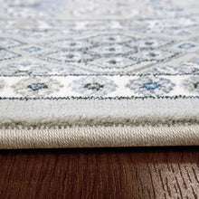 Load image into Gallery viewer, Dynamic Rugs Ancient Garden 57147-9696 Silver/Grey Area Rug
