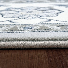 Load image into Gallery viewer, Dynamic Rugs Ancient Garden 57365-9666 Grey/Cream Area Rug

