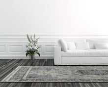 Load image into Gallery viewer, Dynamic Rugs Ancient Garden 57559-9656 Silver/Grey Area Rug
