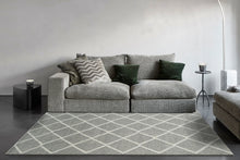 Load image into Gallery viewer, Dynamic Rugs Ava 5203-910 Grey/Ivory Area Rug
