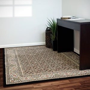 Dynamic Rugs Ancient Garden 57011-3263 Black/Ivory Area Rug