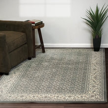 Load image into Gallery viewer, Dynamic Rugs Ancient Garden 57011-5666 Grey/Cream Area Rug
