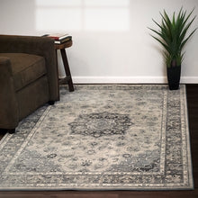 Load image into Gallery viewer, Dynamic Rugs Ancient Garden 57559-9656 Silver/Grey Area Rug
