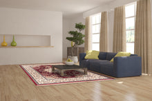 Load image into Gallery viewer, Dynamic Rugs Brilliant 7201-330 Red Area Rug
