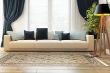Load image into Gallery viewer, Dynamic Rugs Brilliant 7211-820 Linen Area Rug
