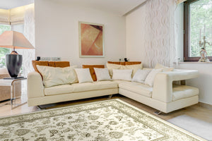 Dynamic Rugs Brilliant 7226-121 Ivory Area Rug