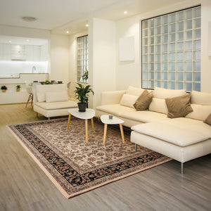 Dynamic Rugs Brilliant 72284-191 Ivory Area Rug