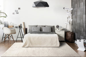 Dynamic Rugs Callie 4970-100 Ivory Area Rug