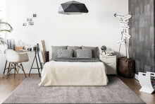 Load image into Gallery viewer, Dynamic Rugs Callie 4970-900 Grey Area Rug
