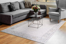 Load image into Gallery viewer, Dynamic Rugs Carson 5222-109 Ivory/Grey Area Rug
