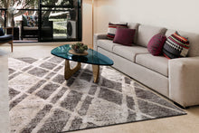 Load image into Gallery viewer, Dynamic Rugs Cruz 7004-901 Grey/Ivory Area Rug
