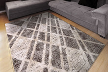 Load image into Gallery viewer, Dynamic Rugs Cruz 7004-901 Grey/Ivory Area Rug
