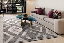 Load image into Gallery viewer, Dynamic Rugs Cruz 7006-901 Grey/Ivory Area Rug
