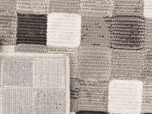 Dynamic Rugs Eclipse 63339-6282 Beige Area Rug