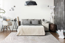 Load image into Gallery viewer, Dynamic Rugs Gold 1350-897 Cream/Silver/Gold Area Rug
