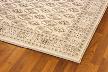 Load image into Gallery viewer, Dynamic Rugs Imperial 12146-100 Beige Area Rug
