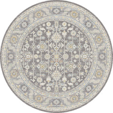 Load image into Gallery viewer, Dynamic Rugs Jupiter 3107-999 Grey/Multi Area Rug
