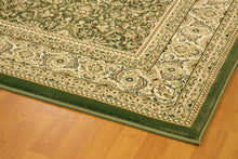 Load image into Gallery viewer, Dynamic Rugs Legacy 58004-420 Green Area Rug
