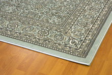 Load image into Gallery viewer, Dynamic Rugs Legacy 58004-500 Light Blue Area Rug
