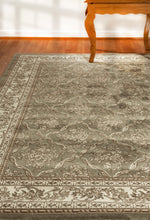 Load image into Gallery viewer, Dynamic Rugs Legacy 58018-510 Sage/Ivory Area Rug
