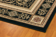 Load image into Gallery viewer, Dynamic Rugs Legacy 58021-090 Black Area Rug
