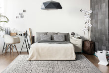 Load image into Gallery viewer, Dynamic Rugs Lotus 8143-190 Ivory/Grey Area Rug
