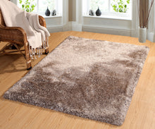 Load image into Gallery viewer, Dynamic Rugs Luxe 4201-116 Stone Area Rug
