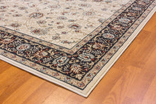 Load image into Gallery viewer, Dynamic Rugs Melody 985022-414 Ivory Area Rug
