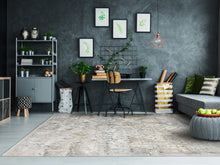 Load image into Gallery viewer, Dynamic Rugs Million 5840-950 Grey Area Rug
