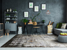 Load image into Gallery viewer, Dynamic Rugs Million 5843-995 Grey Area Rug
