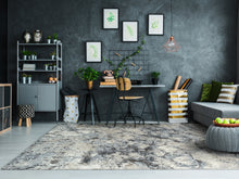Load image into Gallery viewer, Dynamic Rugs Million 5848-995 Grey Area Rug
