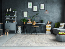 Load image into Gallery viewer, Dynamic Rugs Million 5850-950 Grey Area Rug
