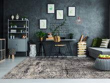 Load image into Gallery viewer, Dynamic Rugs Million 5850-995 Grey Area Rug
