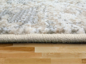 Dynamic Rugs Mysterio 1205-100 Ivory Area Rug
