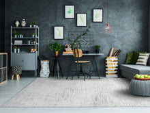Load image into Gallery viewer, Dynamic Rugs Mysterio 12189-910 Silver Area Rug

