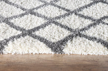 Load image into Gallery viewer, Dynamic Rugs Nitro Lux 6361-109 Ivory/Light Grey Area Rug
