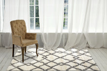 Load image into Gallery viewer, Dynamic Rugs Nitro Lux 6361-109 Ivory/Light Grey Area Rug
