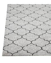 Load image into Gallery viewer, Dynamic Rugs Patio 8393-900 Grey Area Rug
