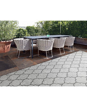 Load image into Gallery viewer, Dynamic Rugs Patio 8393-900 Grey Area Rug
