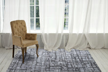 Load image into Gallery viewer, Dynamic Rugs Posh 7813-900 Grey Area Rug
