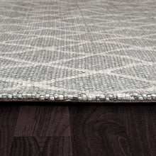 Load image into Gallery viewer, Dynamic Rugs Ray 4260-900 Grey Area Rug

