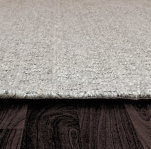 Load image into Gallery viewer, Dynamic Rugs Ray 4265-910 Silver Area Rug
