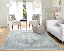 Load image into Gallery viewer, Dynamic Rugs Ruby 2161-900 Grey Area Rug
