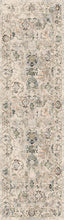 Load image into Gallery viewer, Dynamic Rugs Savoy 3575-899 Beige/Multi Area Rug
