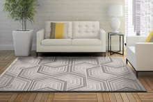 Load image into Gallery viewer, Dynamic Rugs Seville 3611-190 Ivory/Grey Area Rug
